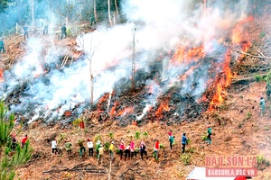 Sốp Cộp diễn tập ứng phó cháy rừng - tìm kiếm cứu nạn