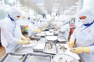 Nỗ lực cải thiện môi trường đầu tư, kinh doanh