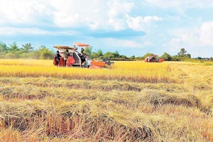 Tạo đà bứt phá cho kinh tế nông thôn