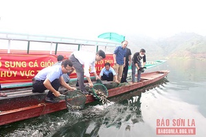 Bảo vệ, tái tạo và phát triển nguồn lợi thủy sản