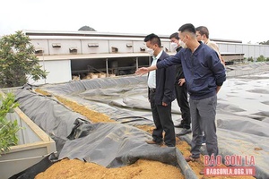 Kiểm tra, đánh giá hiện trạng các công trình xử lý chất thải sau khi kết thúc vụ cà phê