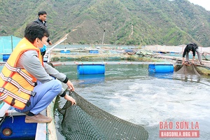 “Dân vận khéo” ở Thuận Châu