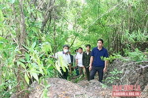 Nâng cao trách nhiệm của cơ sở tham gia giữ rừng