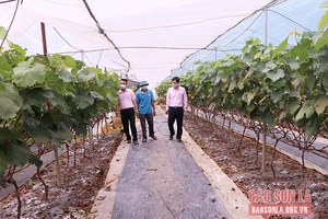 Vốn về với bản, với dân