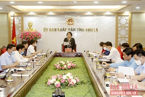 Đảm bảo nguồn vốn thực hiện Chương trình mục tiêu quốc gia phát triển KT-XH  vùng đồng bào dân tộc thiểu số và miền núi