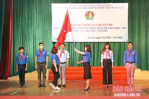 Tập huấn kỹ năng nghiệp vụ tổ chức hoạt động hè cho Thiếu nhi 