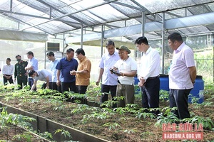 Thường trực Tỉnh ủy kiểm tra tiến độ một số dự án trên địa bàn huyện Mai Sơn