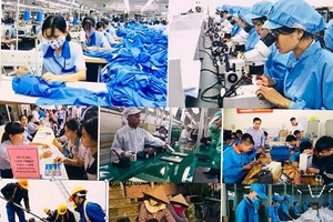 Khả năng phục hồi của thị trường lao động tùy thuộc vào diễn biến dịch bệnh