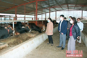 Nâng cao vai trò của các HTX nông nghiệp