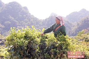 Lan tỏa lối sống đẹp, việc làm ý nghĩa