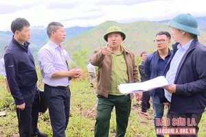 Đoàn công tác của Ban Thường vụ Tỉnh ủy làm việc tại Pắc Ngà, Chim Vàn 