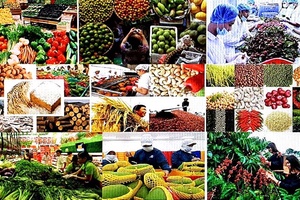 Khuyến khích tiêu dùng và lan tỏa giá trị của hàng Việt