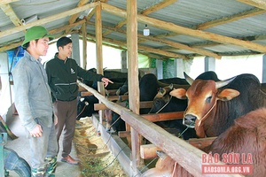 Song Khủa bảo vệ “đầu cơ nghiệp”