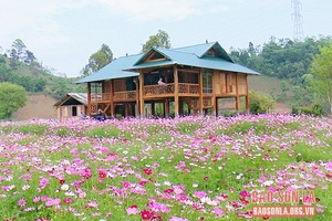 Du lịch Farmstay ở thị trấn Bắc Yên