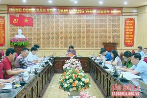 Kiểm tra tiến độ chuẩn bị Lễ khánh thành dự án Cầu kính Bạch Long