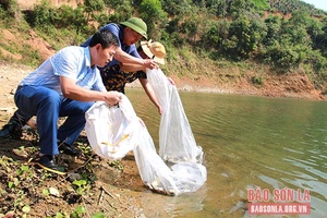 Thành phố thả cá giống tái tạo nguồn lợi thủy sản