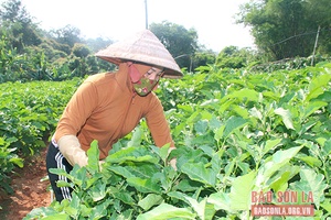 Mô hình kinh tế hiệu quả