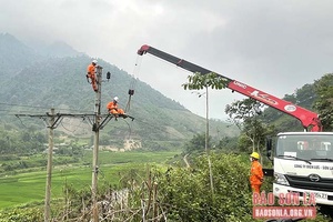 Diễn tập phòng chống thiên tai và tìm kiếm cứu nạn, xử lý sự cố, an toàn cấp điện lực 