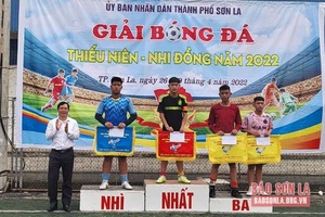 Giải bóng đá Thiếu niên, nhi đồng năm 2022