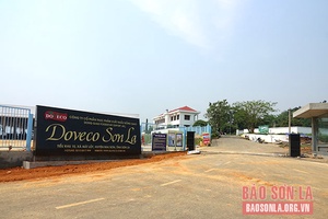 Trên công trường xây dựng Trung tâm chế biến rau, quả Doveco Sơn La