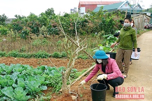 Ngày về cơ sở xây dựng nông thôn mới