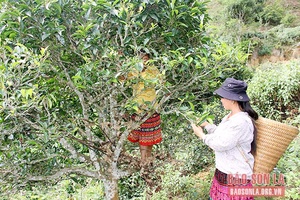 Thay đổi nếp nghĩ, cách làm để cuộc sống đồng bào thêm cải thiện