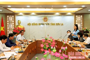 Thẩm tra các nội dung trình Kỳ họp chuyên đề lần thứ sáu, HĐND tỉnh khóa XV