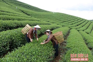 Nhịp sống mới dưới chân đèo Phạ Đin