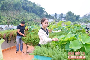 Sen cảnh trên nhà phố