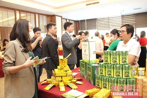 DDCI - Khơi thông điểm nghẽn điều hành kinh tế