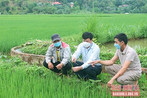 Quỳnh Nhai chăm lo đời sống đồng bào dân tộc thiểu số