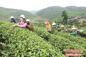 Tạo chuyển biến mạnh mẽ trong học tập và làm theo Bác