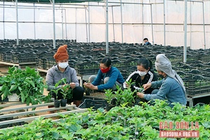 Mai Sơn thu hút đầu tư lĩnh vực lợi thế