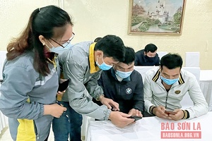 Tiên phong chuyển đổi số và phát triển thương mại điện tử