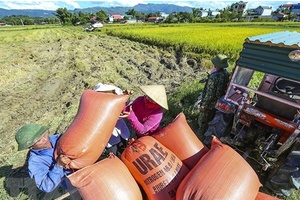 Thực hiện hỗ trợ phí bảo hiểm nông nghiệp theo Nghị định số 58/2018/NĐ-CP từ ngày 24/6