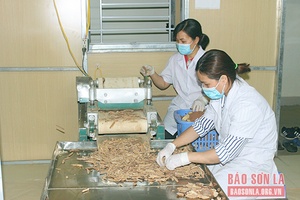 Đưa sản phẩm nấm linh chi đến với người tiêu dùng