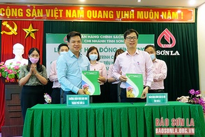 Giải ngân chương trình cho vay đối với cơ sở giáo dục ngoài công lập
