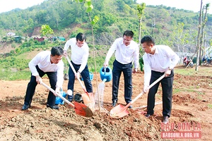 Thành phố ra quân trồng trên 3.000 cây phân tán 