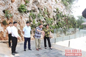 Đảm bảo các điều kiện cho khánh thành dự án Cầu kính Bạch Long