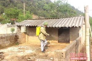 Phòng, chống dịch bệnh cho đàn vật nuôi