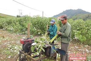 Vân Hồ chăm lo đời sống đồng bào dân tộc thiểu số