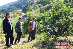 Thêm lực cho xã vùng 3