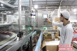 Ước mơ và hiện thực "Thiên đường sữa Mộc Châu"