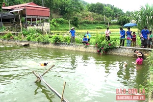 Phòng chống tai nạn thương tích cho trẻ em trong dịp hè