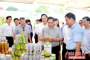 Thủ tướng Chính phủ đến thăm và làm việc tại Trung tâm chế biến rau quả Doveco Sơn La