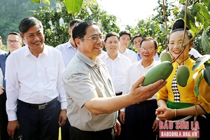 Thủ tướng Chính phủ thăm mô hình hợp tác xã tại huyện Mai Sơn