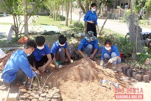 Tuổi trẻ Mai Sơn chung sức xây dựng nông thôn mới