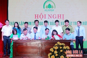 Thành lập Cụm thi đua Quỹ bảo vệ và phát triển rừng 6 tỉnh Tây Bắc