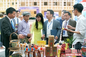 TECHFEST Sơn La 2022 - Bứt phá giữa đại ngàn