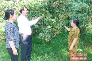 Phát huy vai trò người cao tuổi trong đời sống